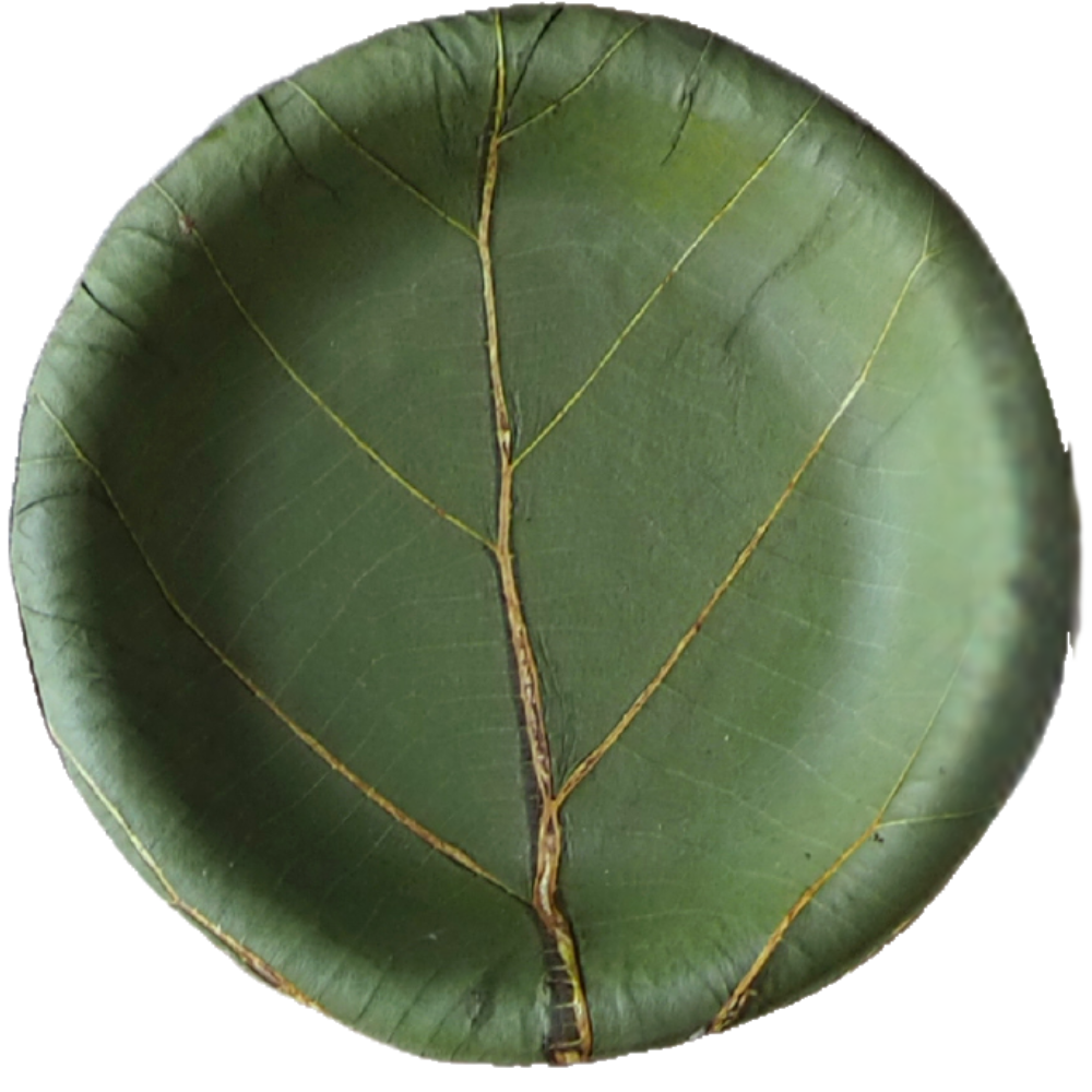 biodegradable plate made of green leaves