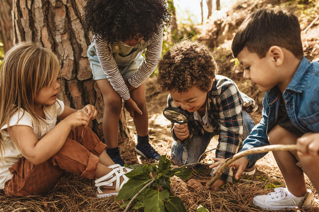 A group of young children exploring nature in a wooded area, closely examining a plant with a magnifying glass, fostering curiosity and outdoor learning.