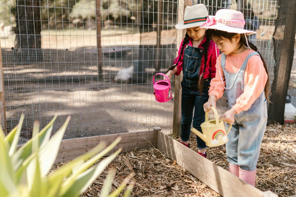 Two young girls wearing overalls and hats, watering a raised garden bed with colorful watering cans near a chicken coop, learning about gardening and sustainability.