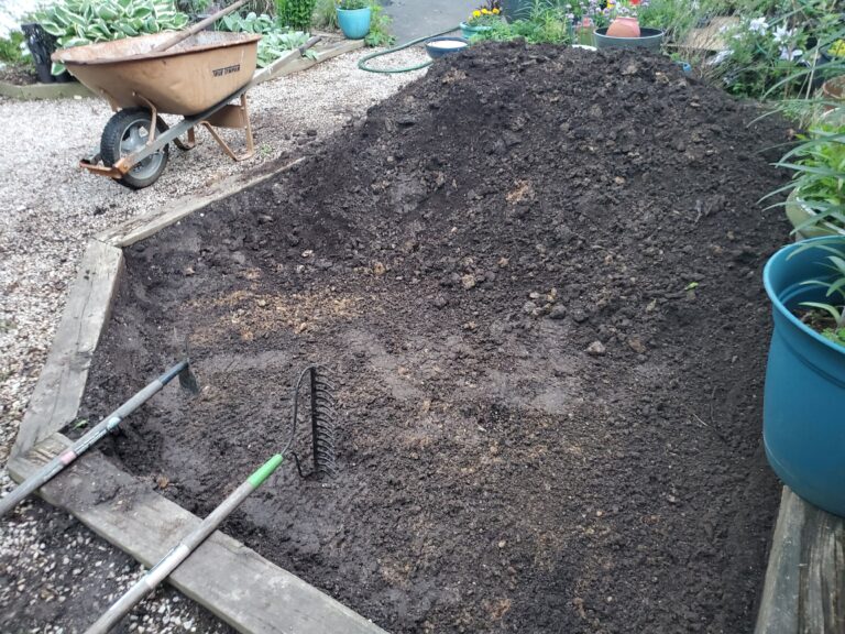 In-ground garden with compost being added to it from a wheelbarrow to amend the soil.